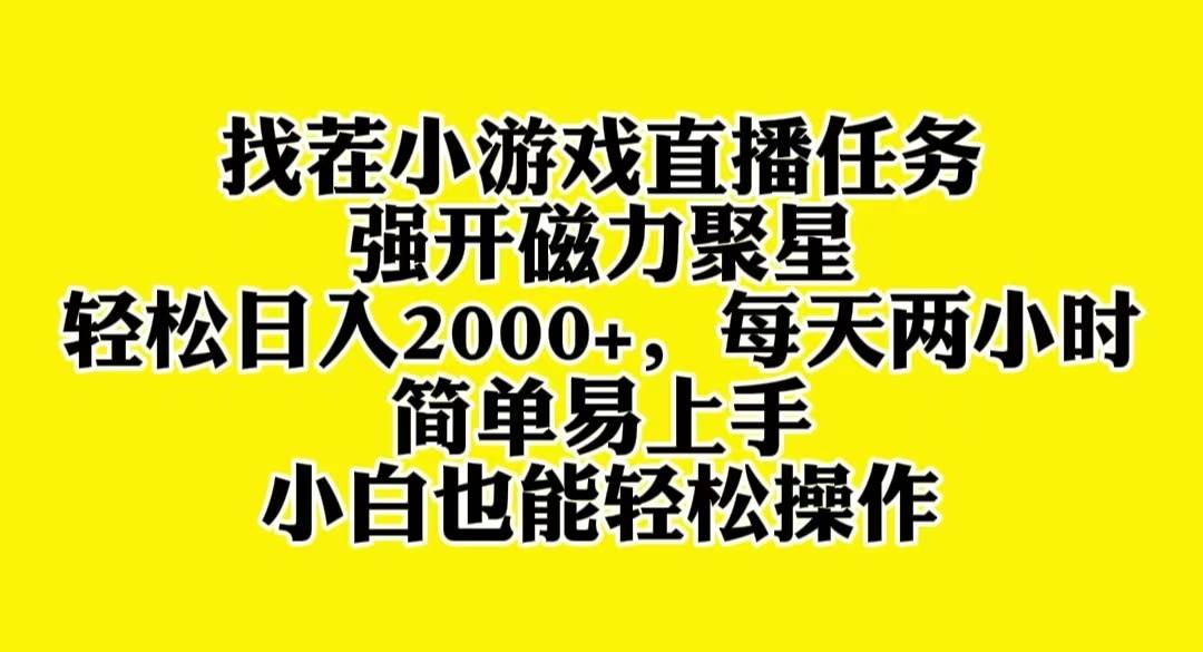 找茬小游戏直播，强开磁力聚星，轻松日入2000+，小白也能轻松上手-即时风口网