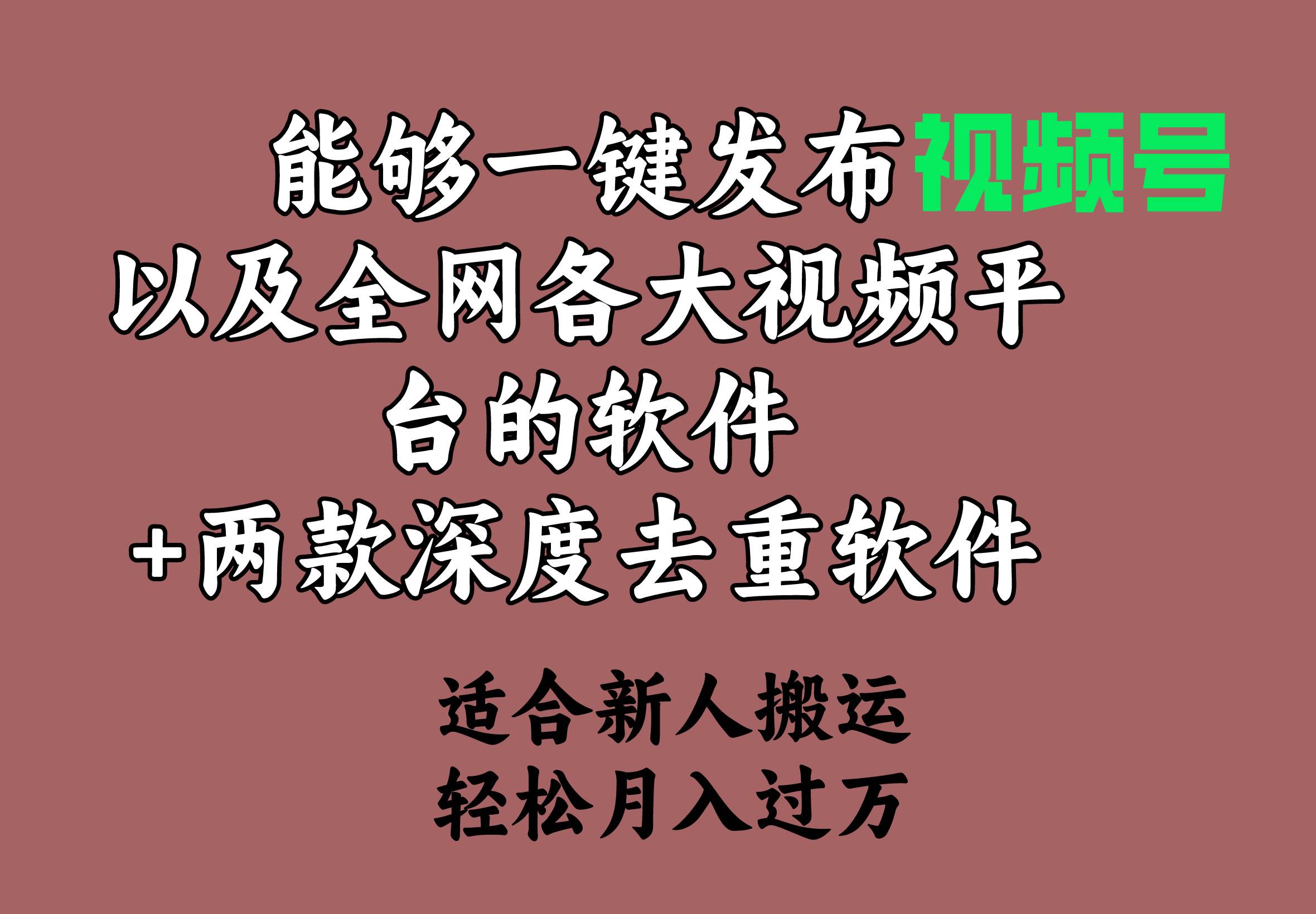 能够一键发布视频号以及全网各大视频平台的软件+两款深度去重软件 适合…-即时风口网