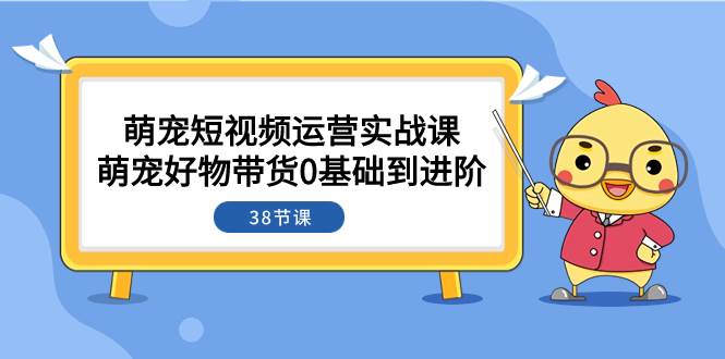 萌宠·短视频运营实战课：萌宠好物带货0基础到进阶（38节课）-即时风口网