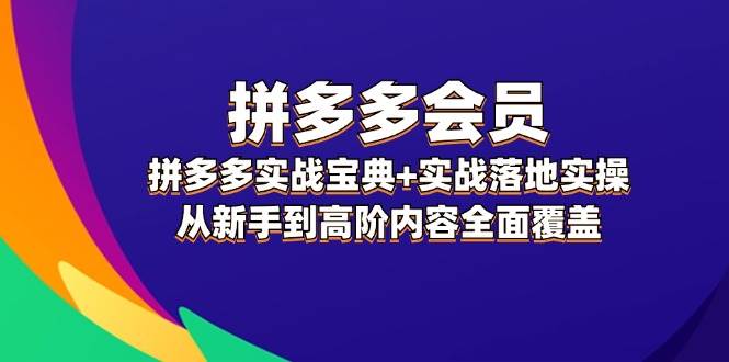 拼多多 会员，拼多多实战宝典+实战落地实操，从新手到高阶内容全面覆盖-即时风口网