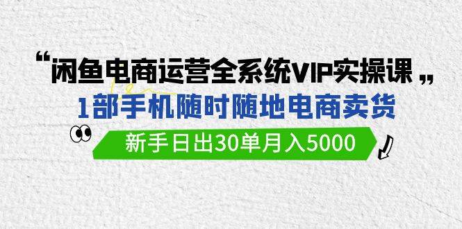 闲鱼电商运营全系统VIP实战课，1部手机随时随地卖货，新手日出30单月入5000-即时风口网