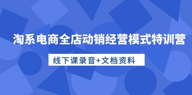 淘系电商全店动销经营模式特训营，线下课录音+文档资料-即时风口网