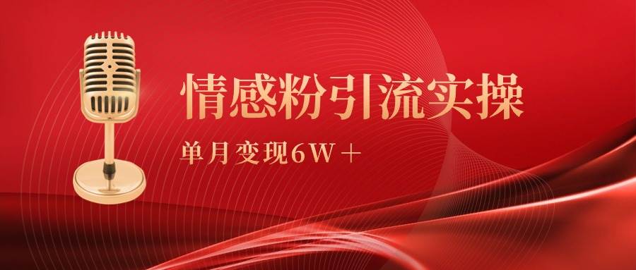 单月变现6w+，情感粉引流变现实操课-即时风口网