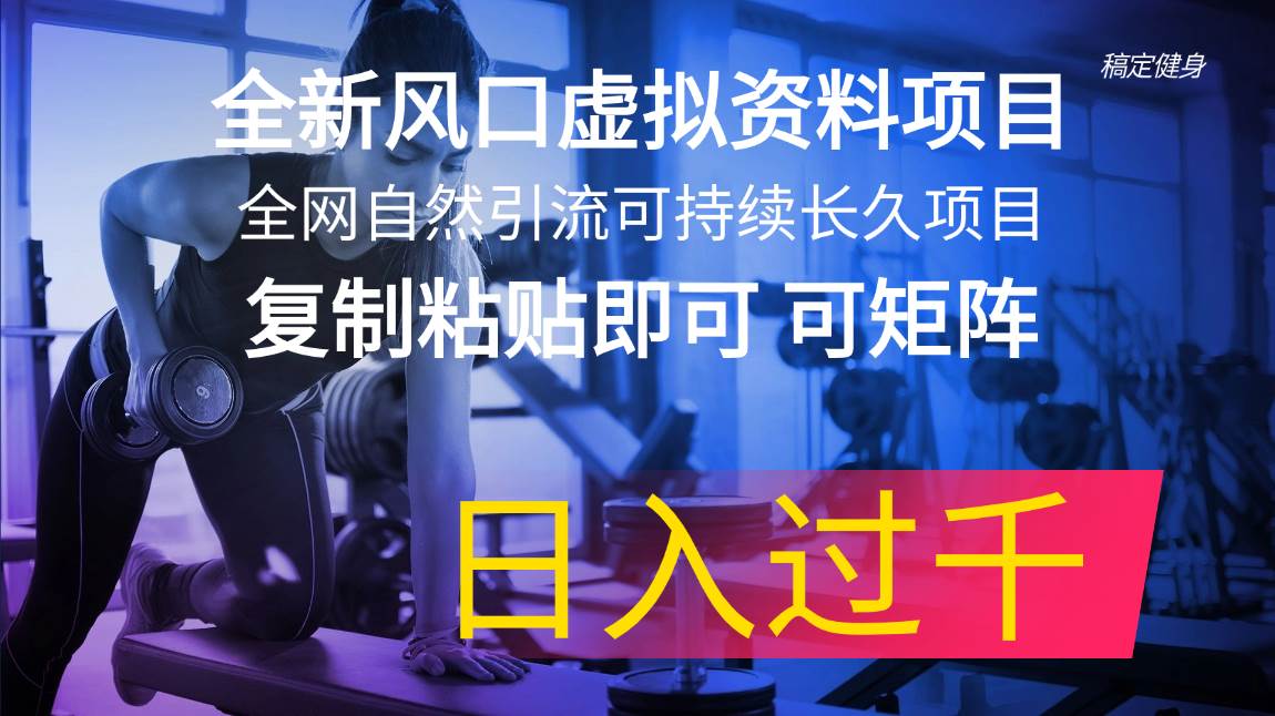 全新风口虚拟资料项目 全网自然引流可持续长久项目 复制粘贴即可可矩阵…-即时风口网