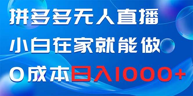 拼多多无人直播，小白在家就能做，0成本日入1000+-即时风口网