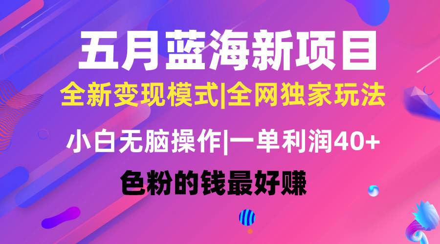 五月蓝海项目全新玩法，小白无脑操作，一天几分钟，矩阵操作，月入4万+-即时风口网