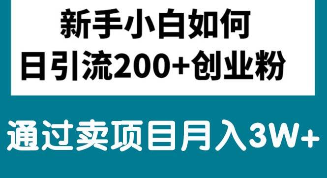 新手小白日引流200+创业粉,通过卖项目月入3W+-即时风口网