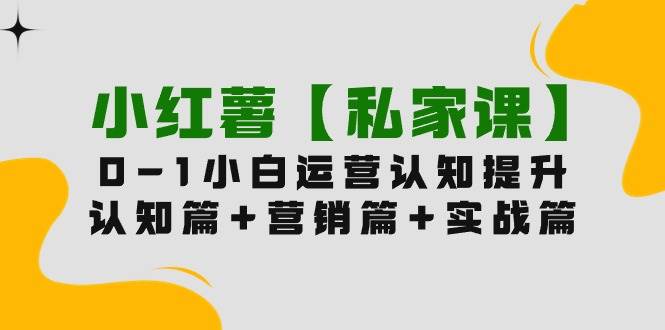 小红薯【私家课】0-1玩赚小红书内容营销，认知篇+营销篇+实战篇（11节课）-即时风口网