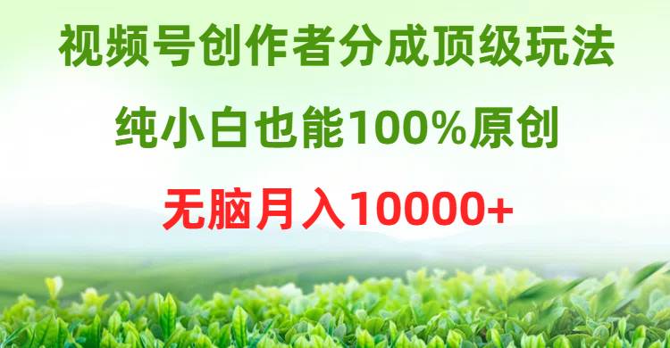 视频号创作者分成顶级玩法，纯小白也能100%原创，无脑月入10000+-即时风口网