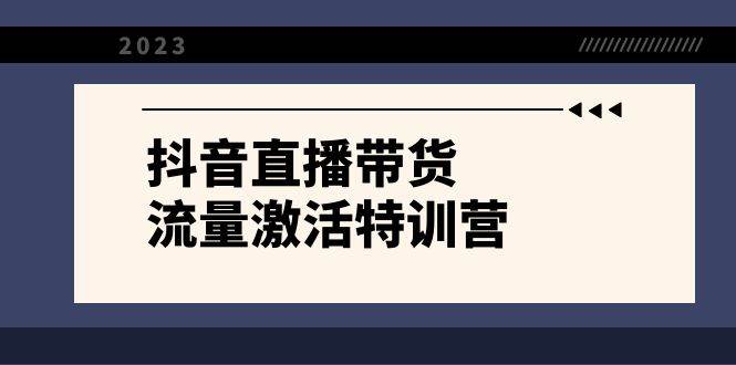 抖音直播带货-流量激活特训营，入行新手小白主播必学（21节课+资料）-即时风口网