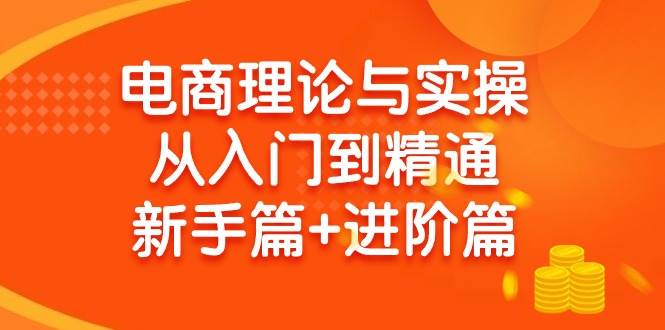 电商理论与实操从入门到精通 新手篇+进阶篇-即时风口网