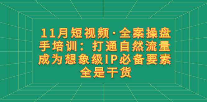 11月短视频·全案操盘手培训：打通自然流量 成为想象级IP必备要素 全是干货-即时风口网