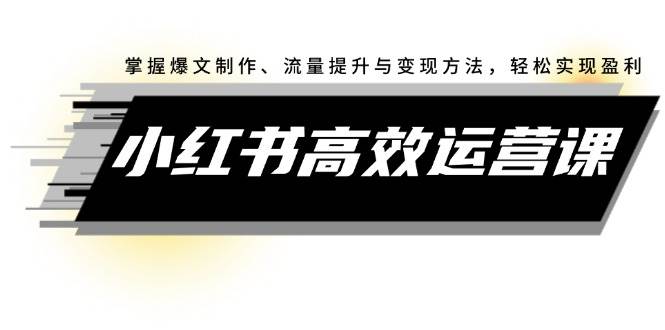 小红书高效运营课：掌握爆文制作、流量提升与变现方法，轻松实现盈利-即时风口网