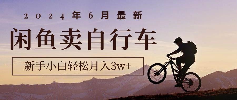 2024年6月最新闲鱼卖自行车，新手小白轻松月入3w+项目-即时风口网